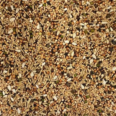 Johnston & Jeff Poultry Tonic Seeds – 1kg