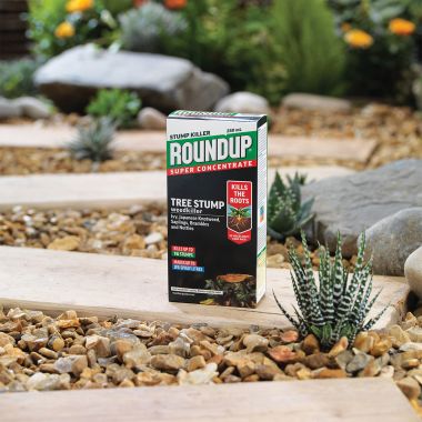  Roundup Concentrated Tree Stump & Weedkiller - 250ml