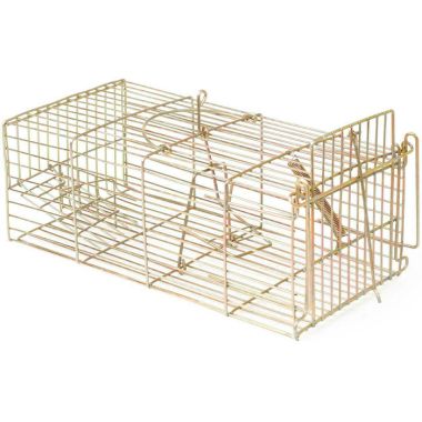 RACAN Rat Cage Trap
