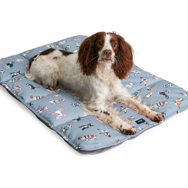 Joules Rainbow Dogs Travel Mat 