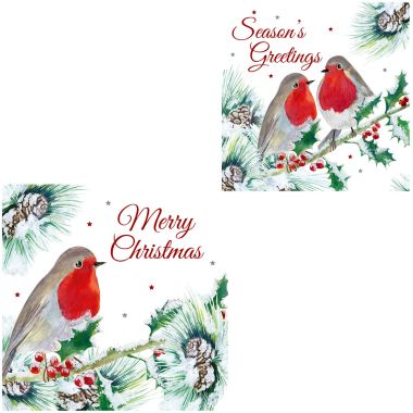 Robin Christmas Cards, White - Pack of 12