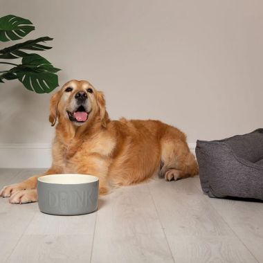 Scruffs Classic Dog Water Bowl - Grey