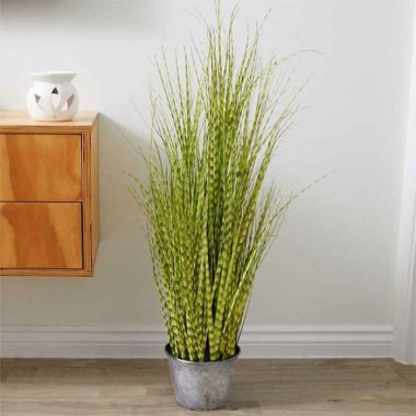 Smart Garden Zebra Grass – 90cm