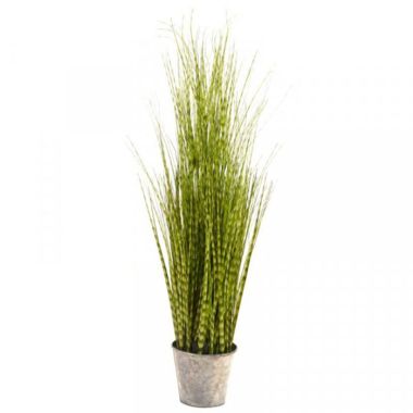 Smart Garden Zebra Grass – 90cm