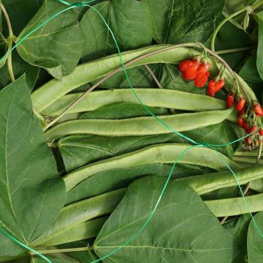 Smart Garden150mm Pea & Bean Netting, Green – 2m x 5m