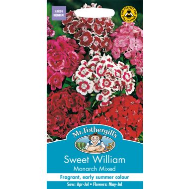 Mr Fothergill's Mixed Monarch Sweet William Seeds