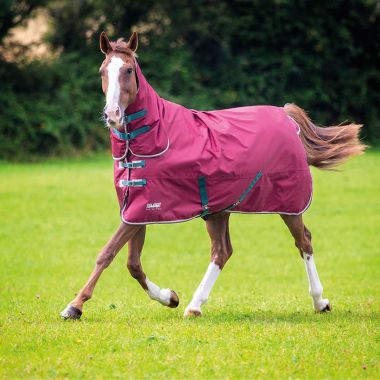 Shires Tempest Original 200 Turnout Combo Rug - Maroon