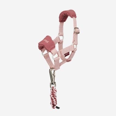 Mini LeMieux Toy Pony Headcollar - Pink Quartz