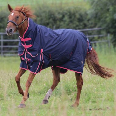 Gallop Trojan 50 Combo Turnout Rug - Navy/Pink