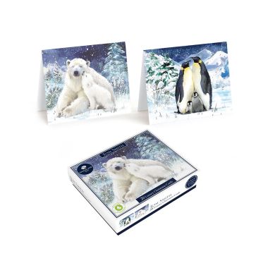 Tom Smith Luxury Polar Bear & Penguin Christmas Cards – 20 Pack