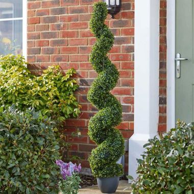 Smart Garden Topiary Twirl - 150cm