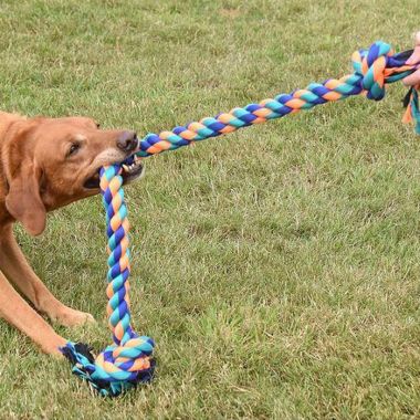 Zoon Uber-Activ Rope Mega Tug Dog Toy