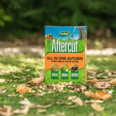Westland Aftercut All In One Autumn Lawn Care - 80m²