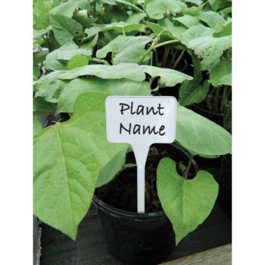 Garland White Solid Tee Labels - 10 Pack 