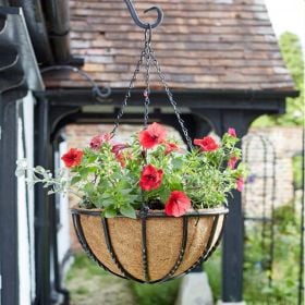 Smart Garden Forge Hanging Basket - 14in