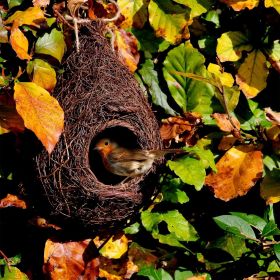 Wildlife World Giant Robin Nest Pocket