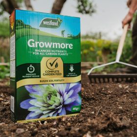 Westland Growmore Plant Food – 4kg