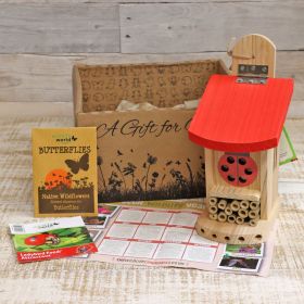Wildlife World Ladybird & Insect Lodge Gift Box