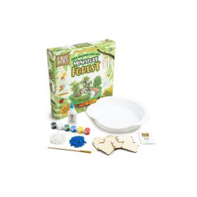 Paint and Grow Your Own Miniature Forest - Kit 