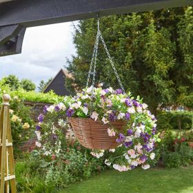 Smart Garden Petunias Regal Hanging Basket - 12in