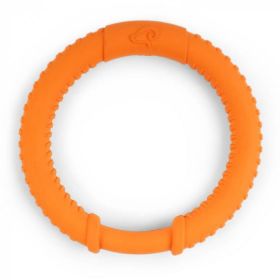 Zoon Rubber Dog Ring - 15cm