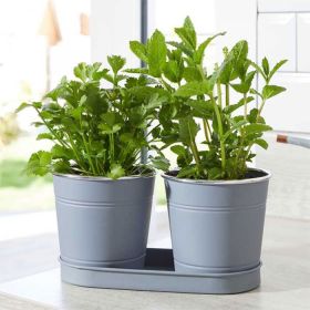 Smart Garden Herb Pots – Pack of 2, Slate