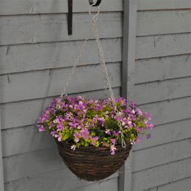 Smart Garden Basket Lilac Lobelia - 10in