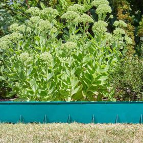 Smart Garden Green FlexEdge – 1.2m x 15cm