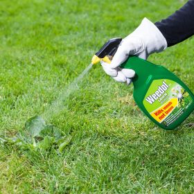 Weedol Lawn Ready to Use Weedkiller - 800ml